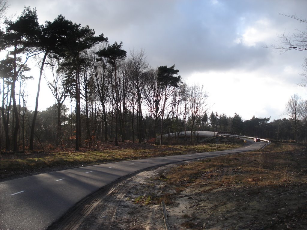 Viaduct over de A4, Halsteren by Jim Bernaards