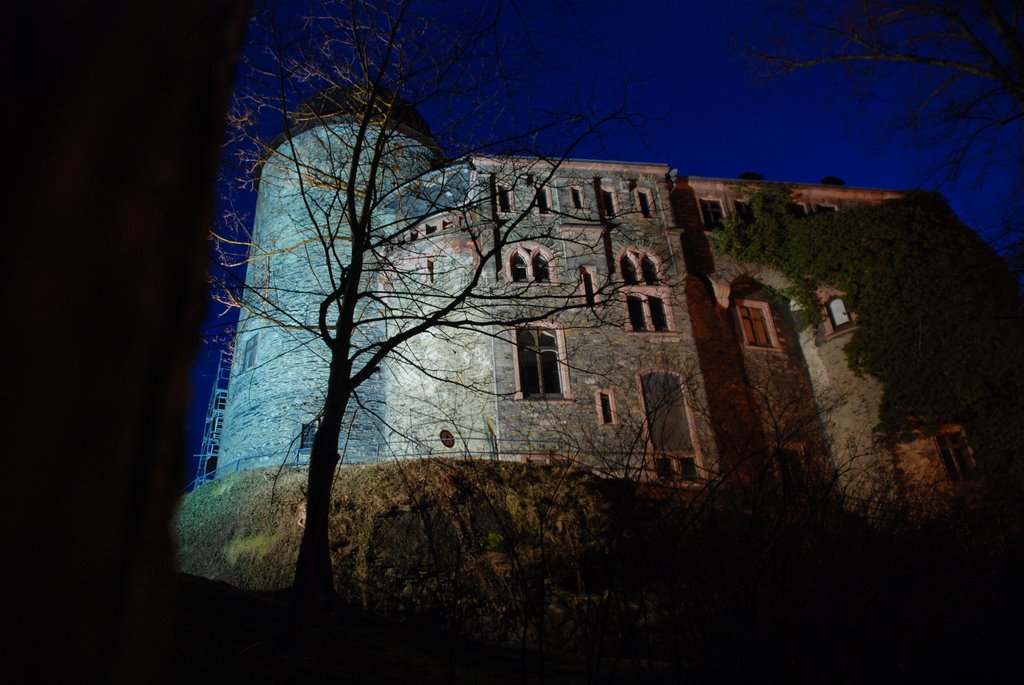 Burg Mylau bei Nacht by Dirk.Hofmann