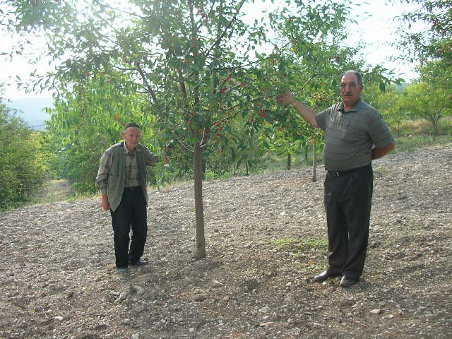 İSMAİL İNAN VE DÜNÜRÜ by HASANKAYATUZU