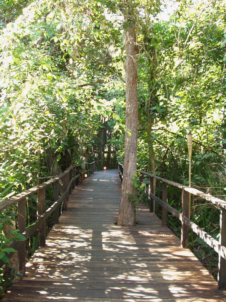 Cape Tribulation Resort - Promenade by Sophiane