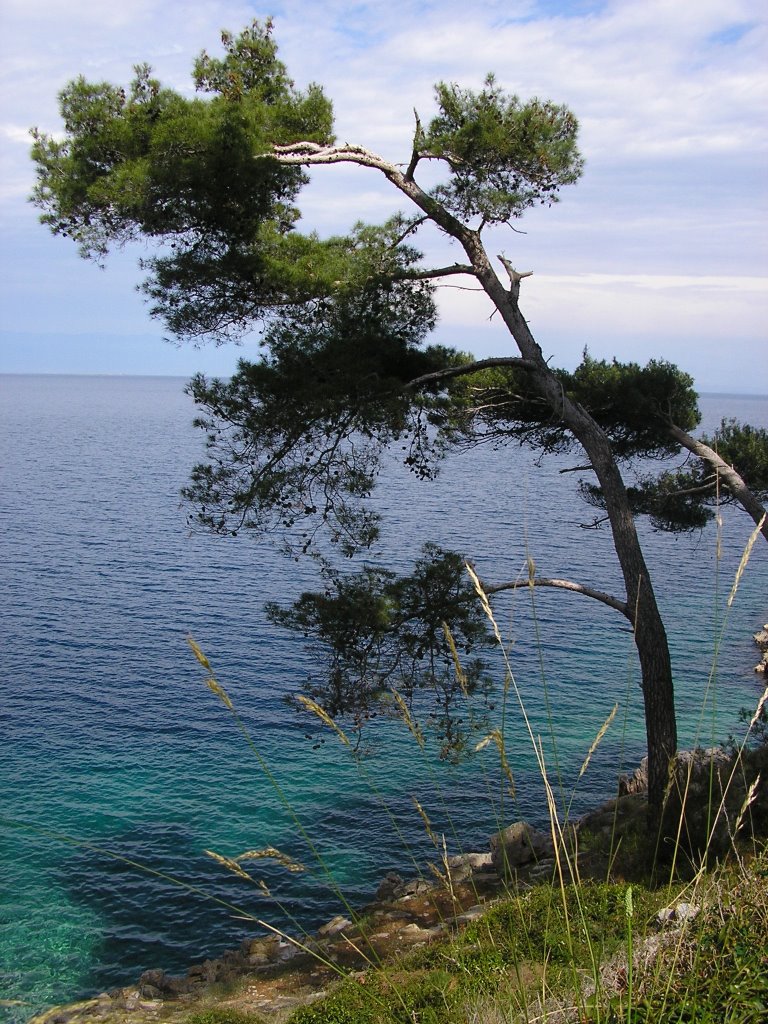 Mali Lošinj by s.lahaye