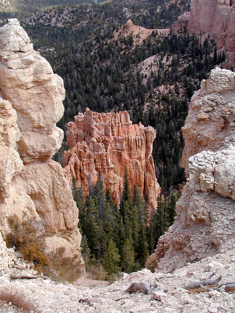 Bryce Canyon by jeepertom