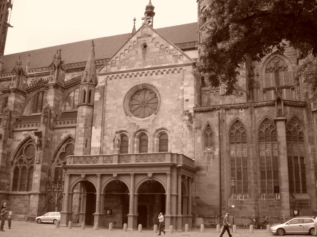 Freiburg Cathedral Cathedral - © Émerson-V by Émerson-V