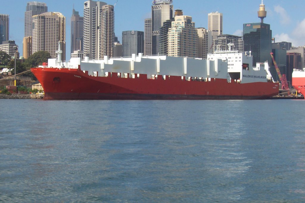 MV Tampa on Sydney Harbour by Grub