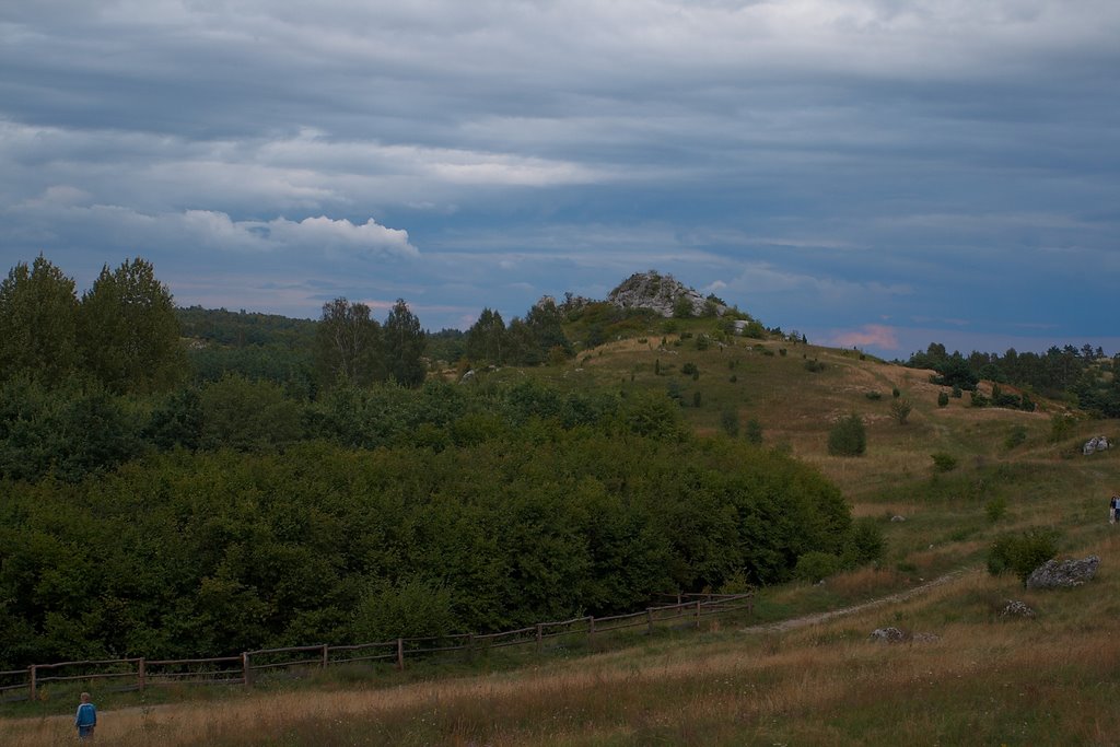 Widok ze wzgórza Zamku Olsztyn.View from Olsztyn Castle hill. by Rafał Klisowski