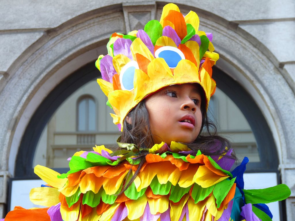 Milan -Carnival - Lovely parrot by Daniela Brocca