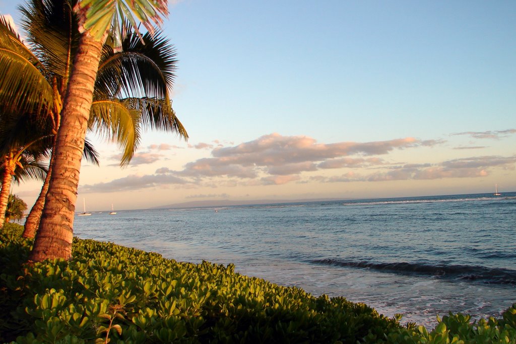 Lahaina,Maui, Hawaii by alek solo