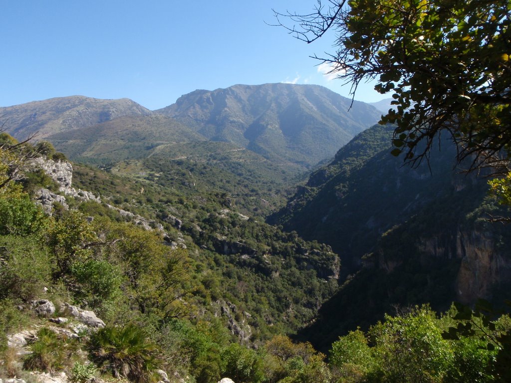 CAMINO DE LA GARGANTA VERDE by JUMISA