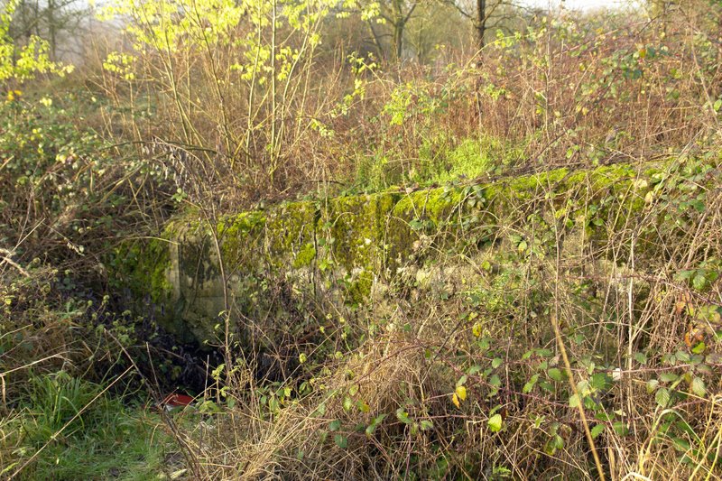 Zerstörter Westwall Bunker by Peter Mueller