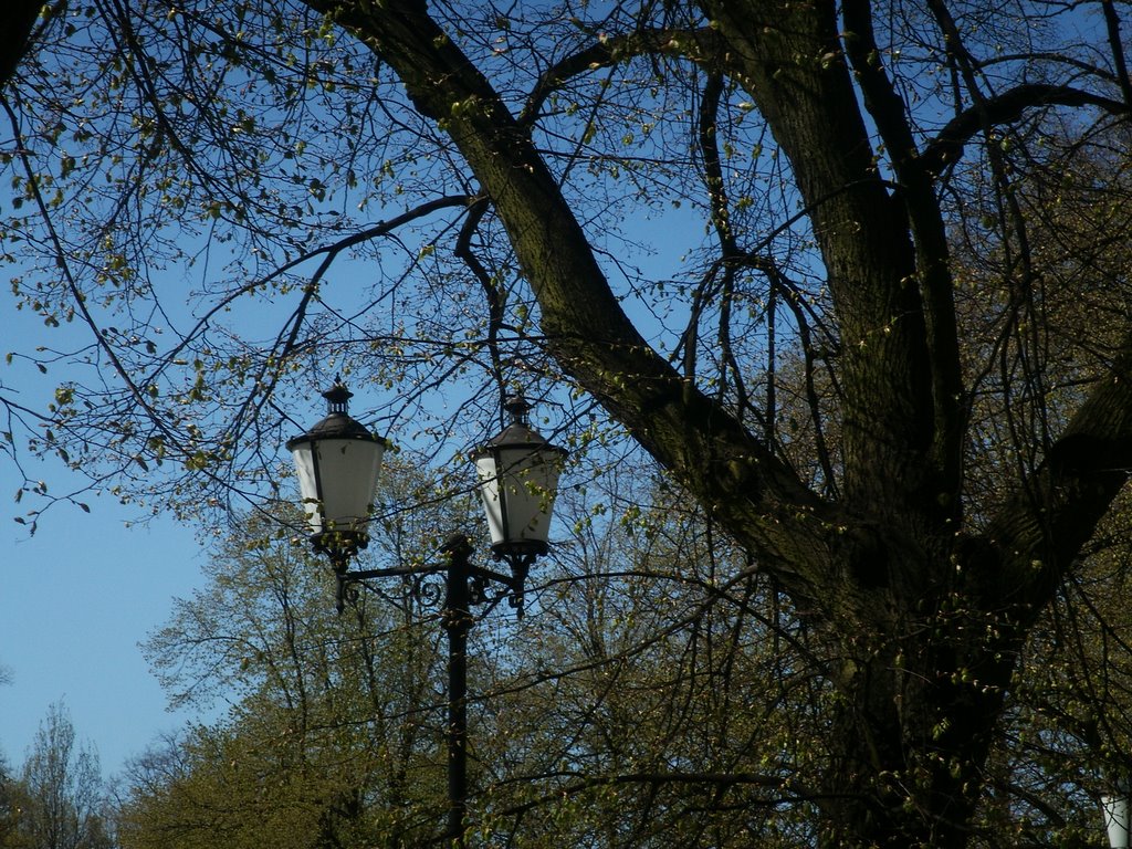 Łódź - Park Poniatowskiego 6 by millotaurus