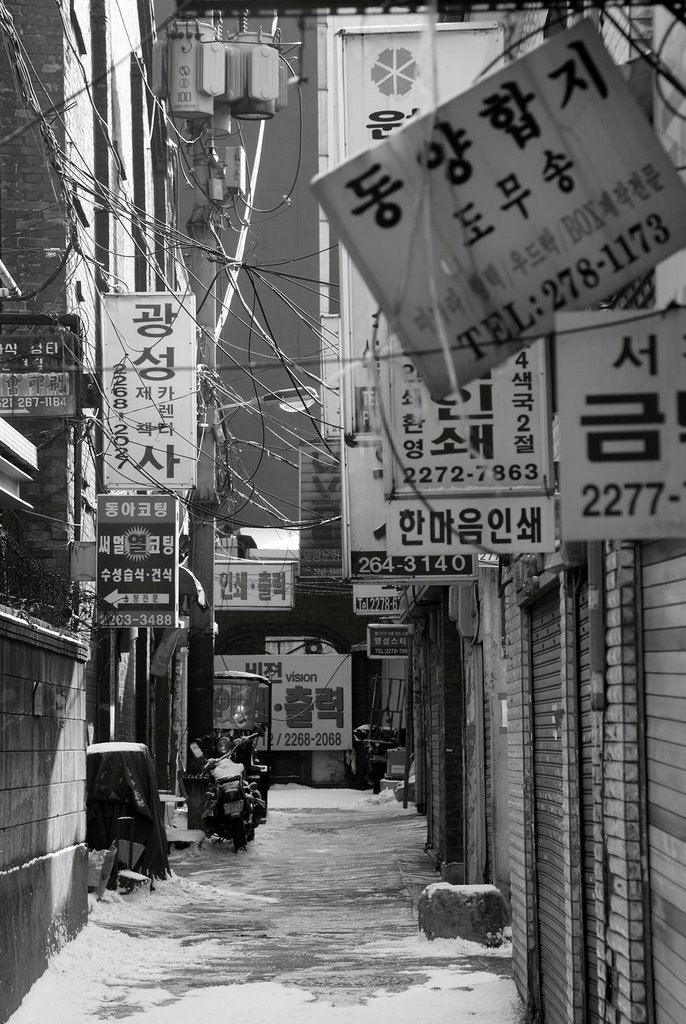 Signs in Alley by samuel006