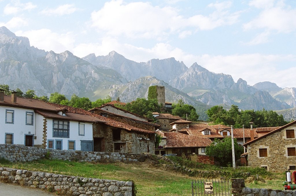 MOGROVEJO EN VERANO - PICOS DE EUROPA by EDUARDO ARRIZABALAGA