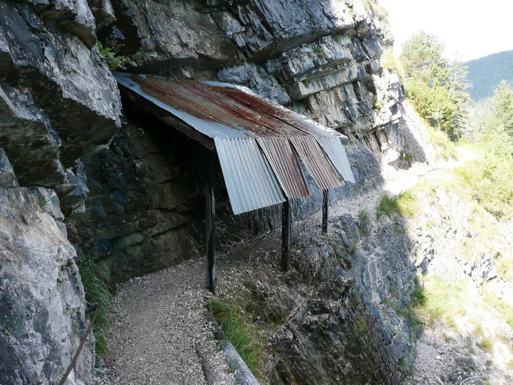 Wanderweg zur Gaisalm am Achensee by Kalli Jipp