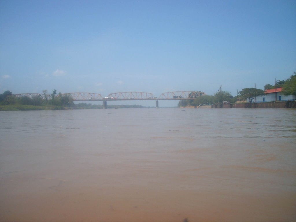 Puente Rio Magdalena by alejoman