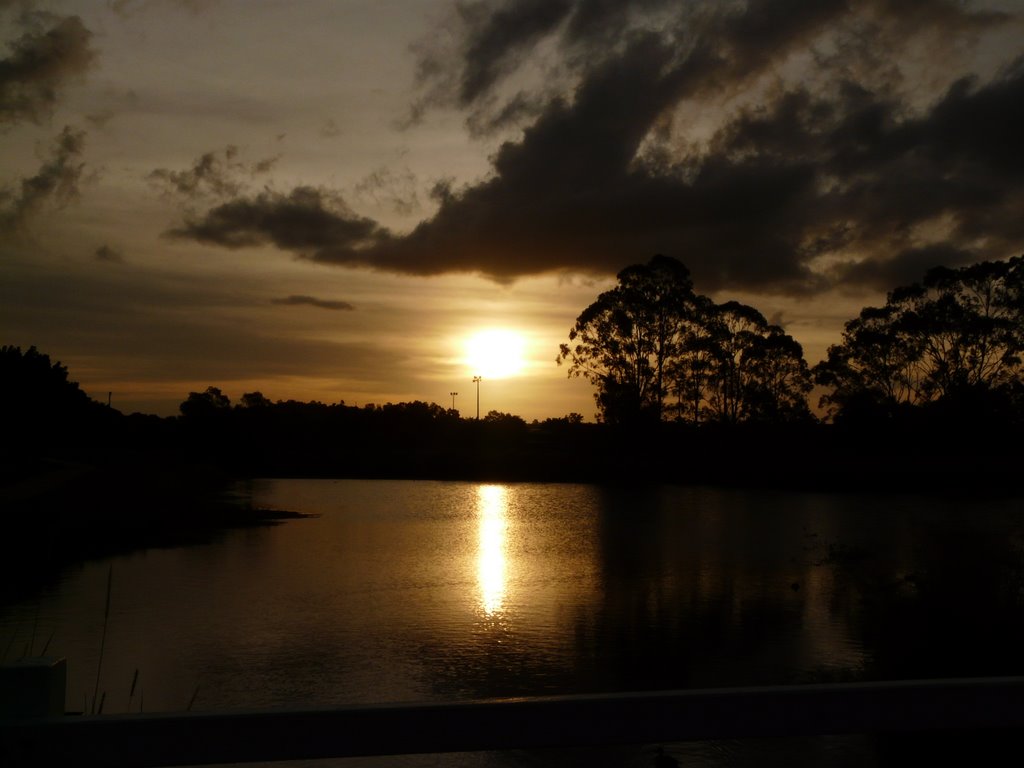 The flight of the swan, Sunset Magic by Angelita70