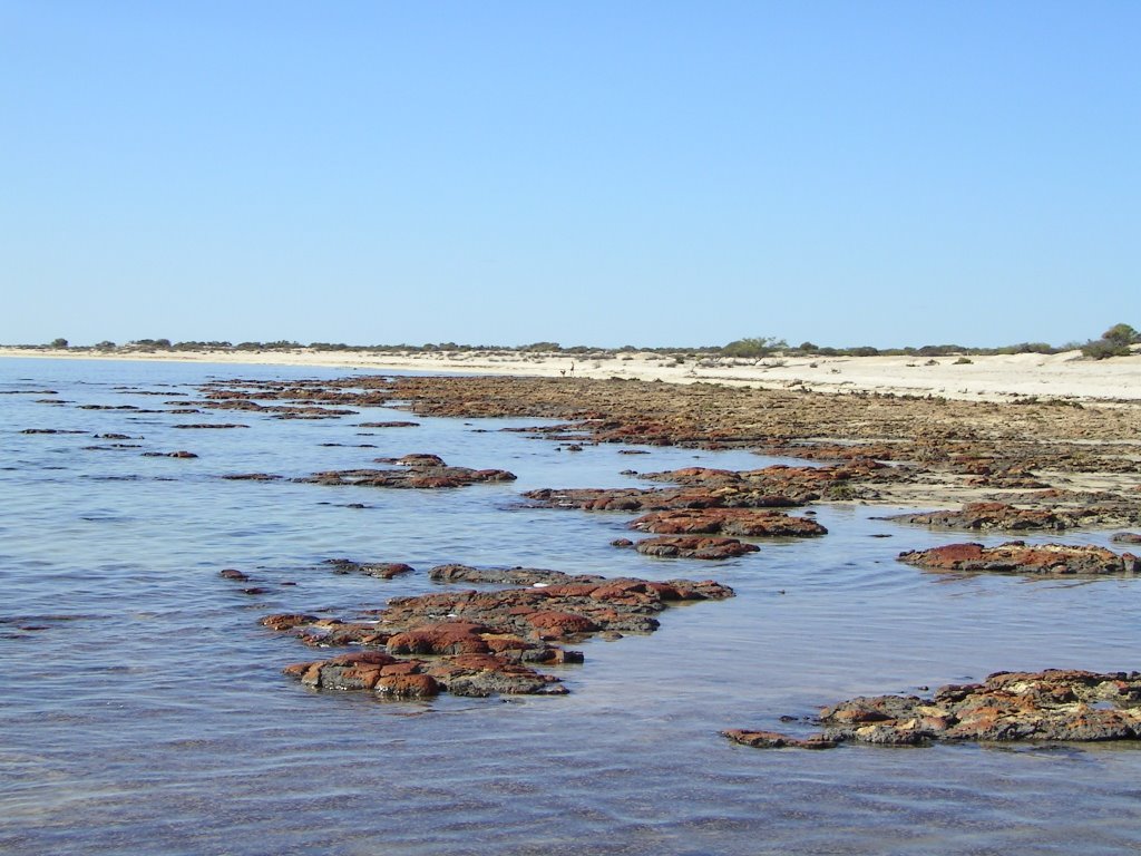 Hamelin Pool, WA by jgsn