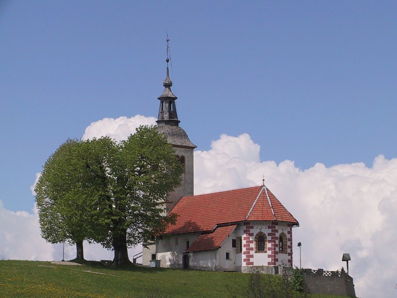 Koreno nad Horjulom by damjanad