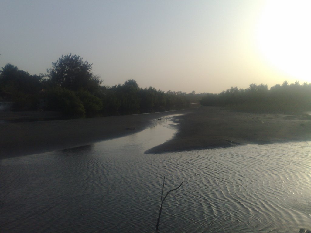 Creek outside Palm Beach Hotel, Kotu by Mikdir