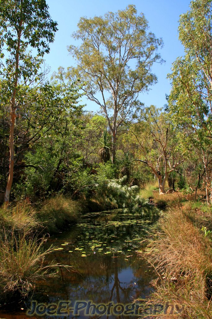 Track to Galvans Gorge - King Leopold Ranges - Kimberleys - WA by HappyJoe