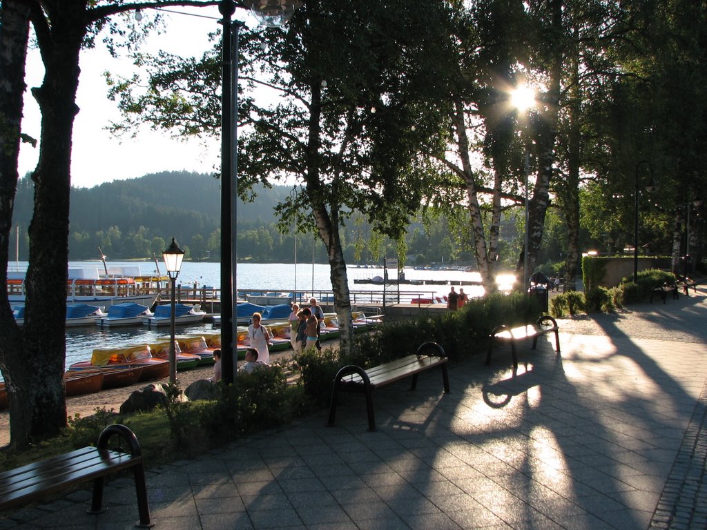 Titisee by overfranne