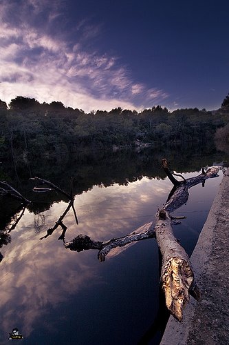 Llac petit by Xavi Galvez