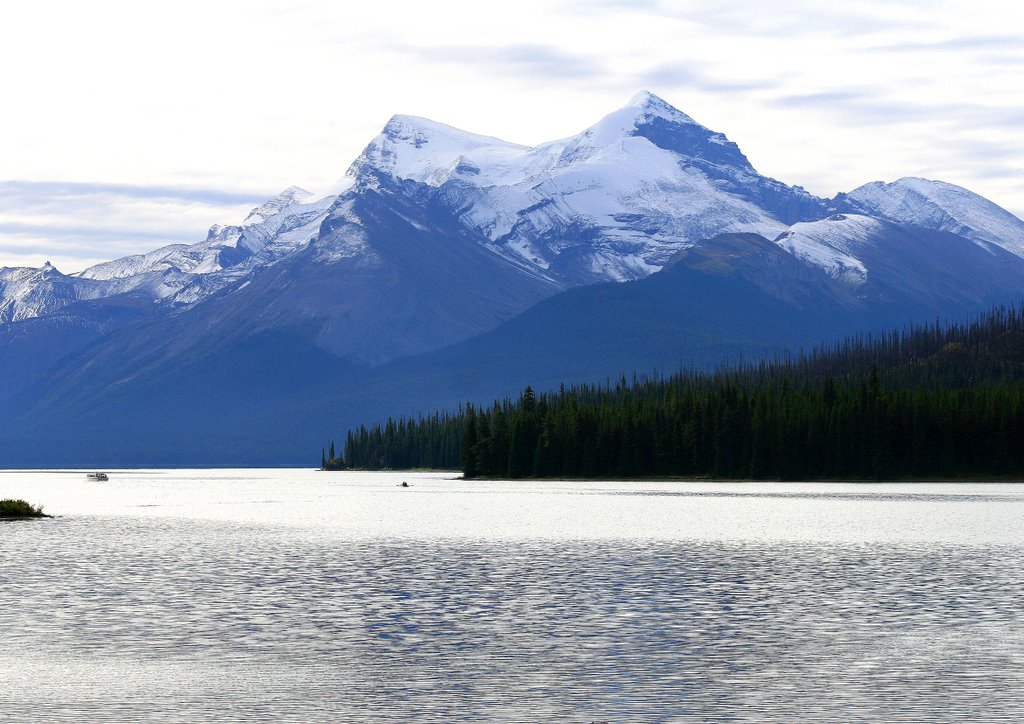 Maligne Lake,Jasper National Park,Alberta,Canada by alan drury