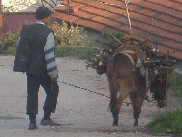 Kurşunlu adam ve eşeği by savasozkanca