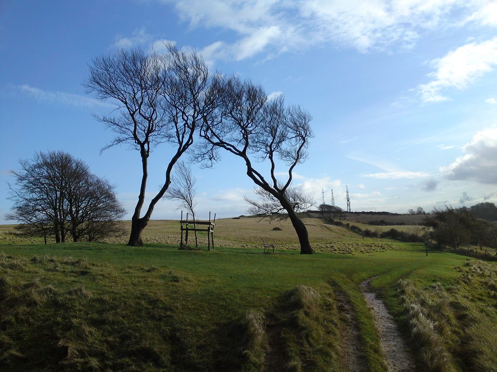 Two Sisters, Cleeve Hill by Philip Collie