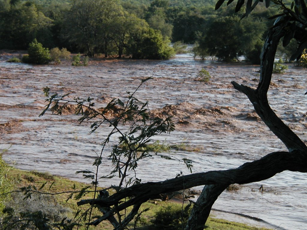 Flooding Olifants by vrouliefie