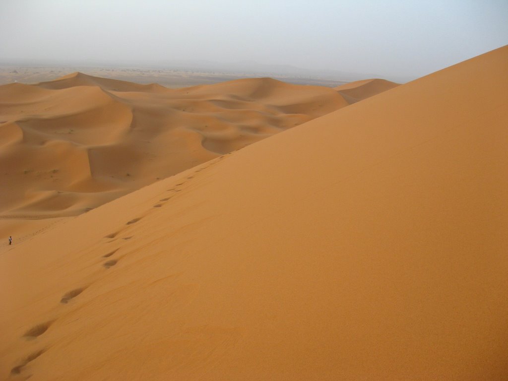 Dunes de Merzouga by Deejay Mclellan