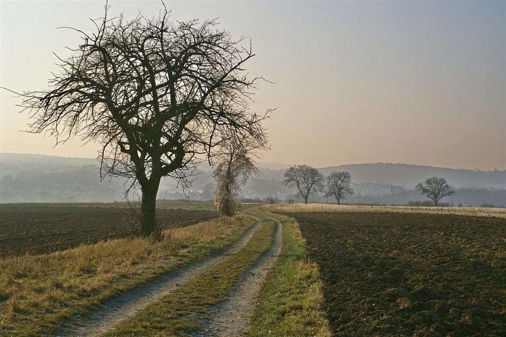 Feldweg bei Wössingen by Augenstein