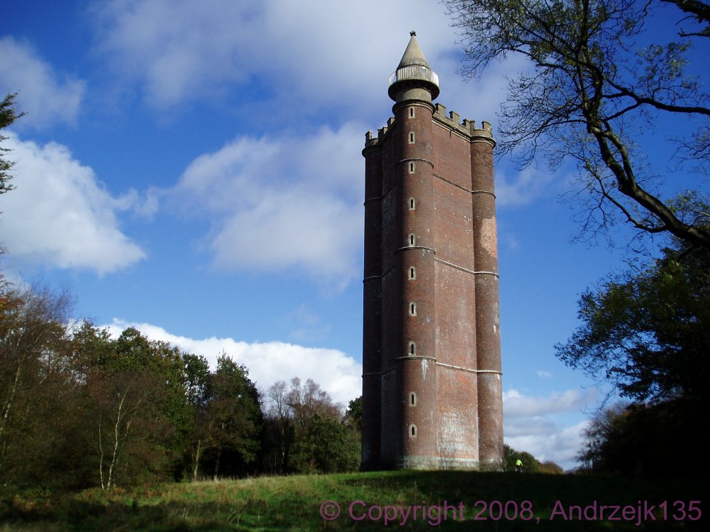 Stourhead King Alfred's Tower by andrzejk135