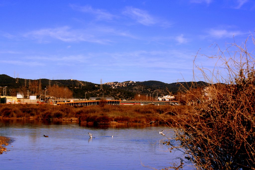 Desembocadura del río Foix. Cubelles by Carlos López (CarDeG…