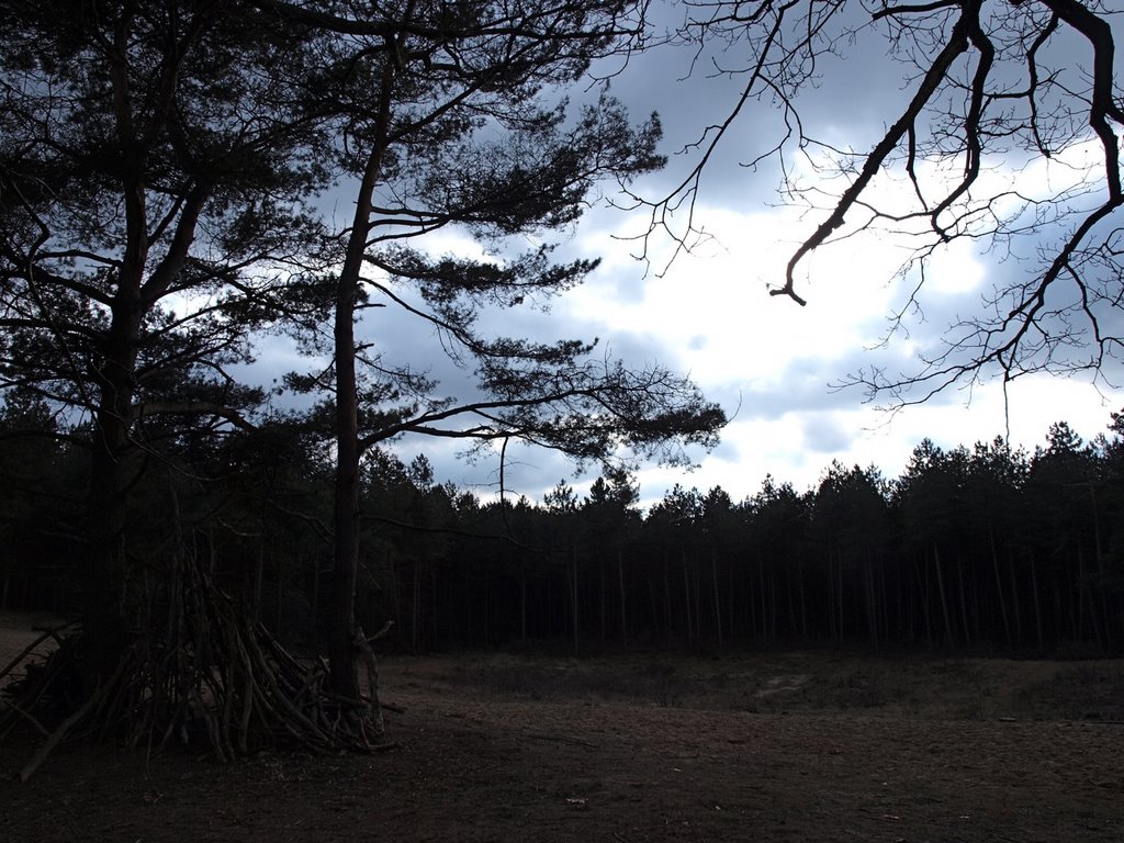 Glade on the Bosberg in Maartensdijkse Bos by ednl