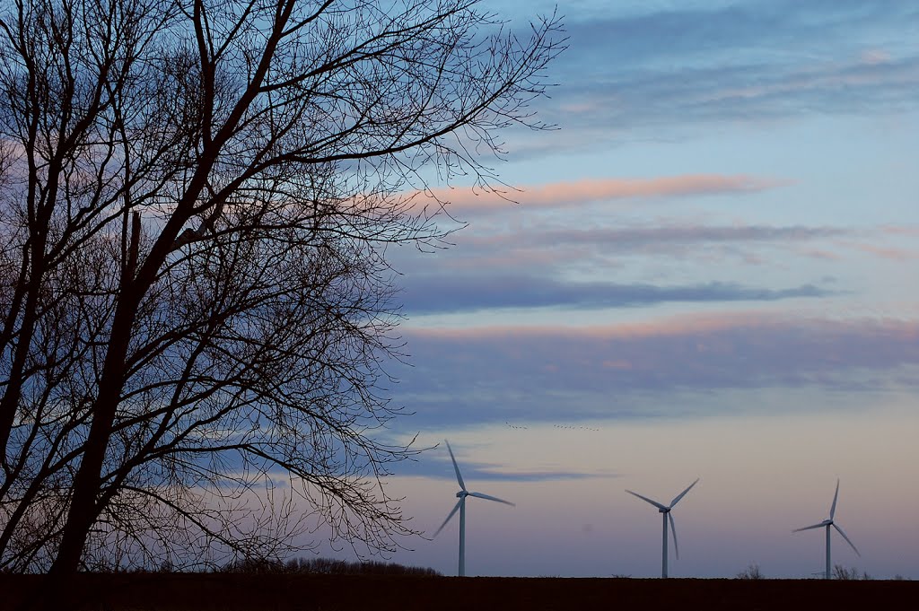 Early evening at the Deurlooweg near Tholen, Netherlands by © Andre Speek