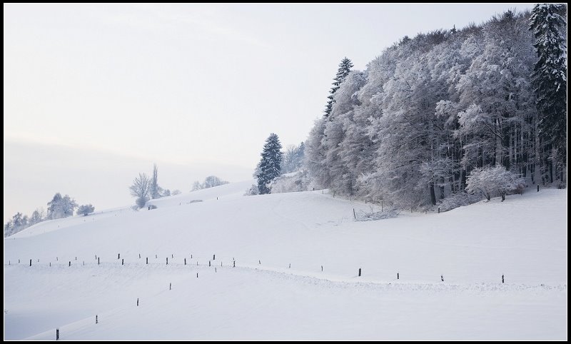 Köniz, Switzerland by 尼尔伯甲