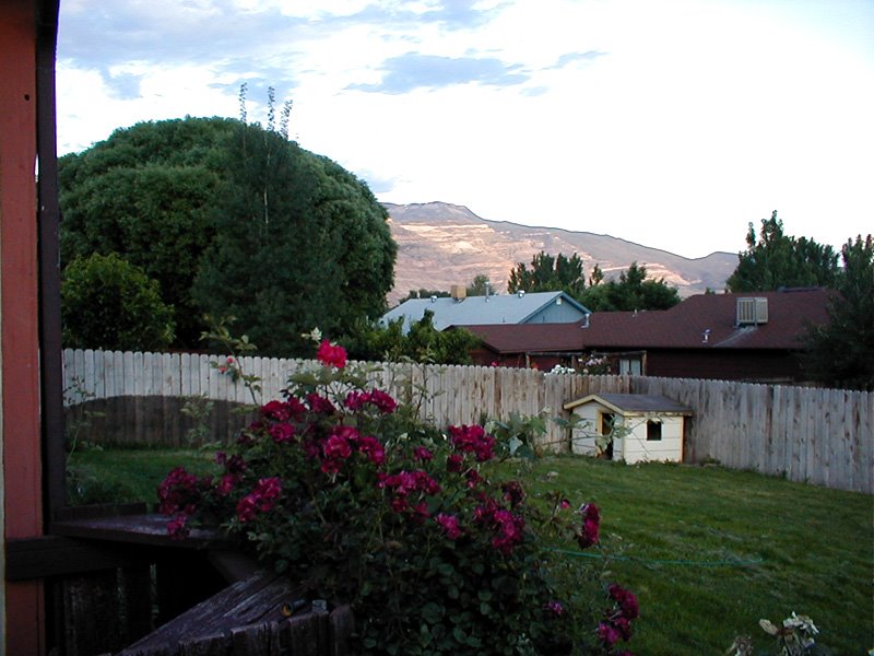 Grand Mesa from Milleman Street, May 29, 2001 by Sheryl Todd (tapirga…