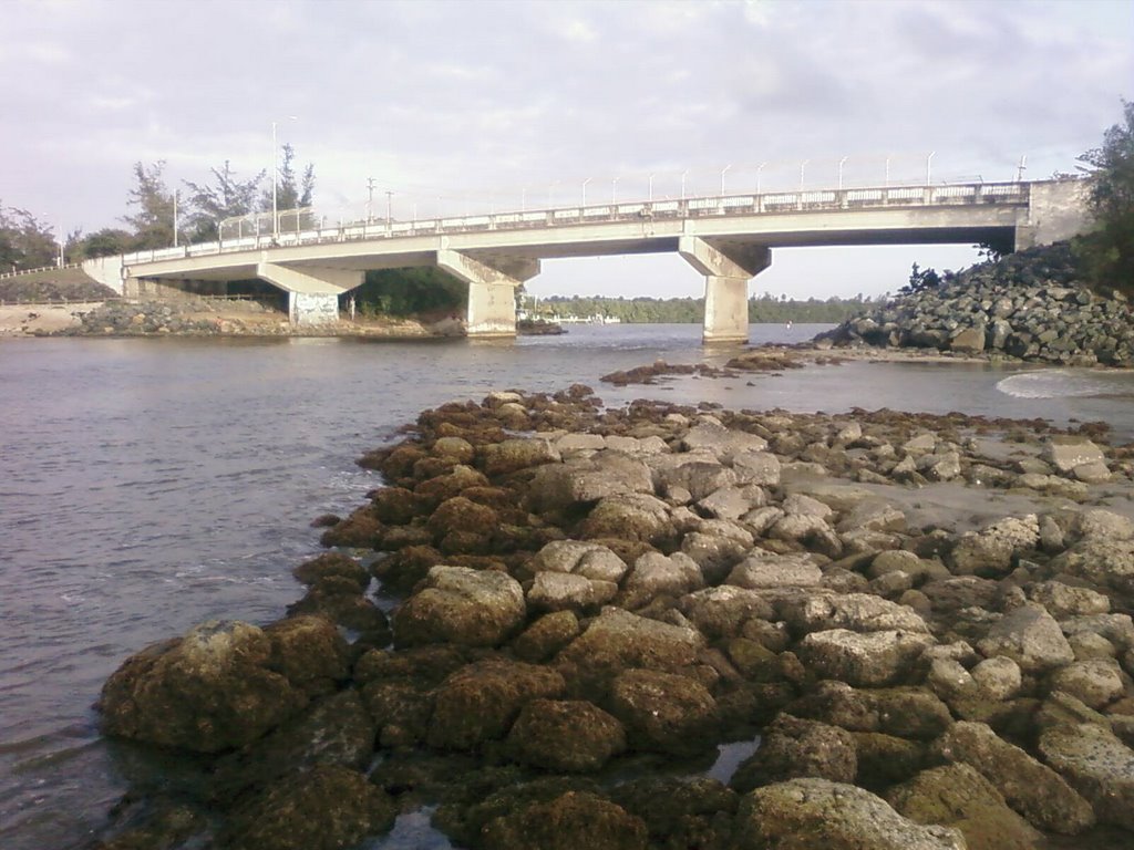 Puente de piñones by @ngelosorio