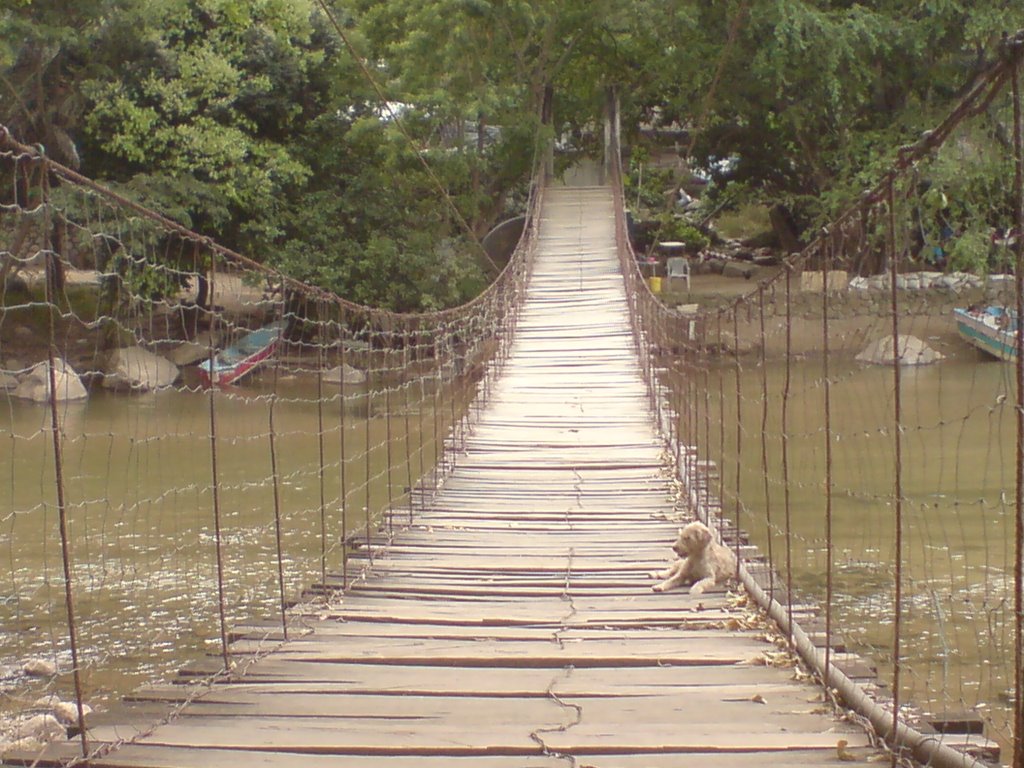 Puente colgante by j51