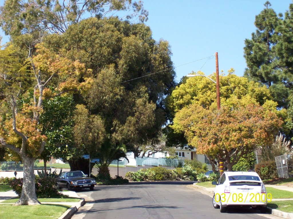 Lobmard Ave. and Earlham by Alan Fogelquist