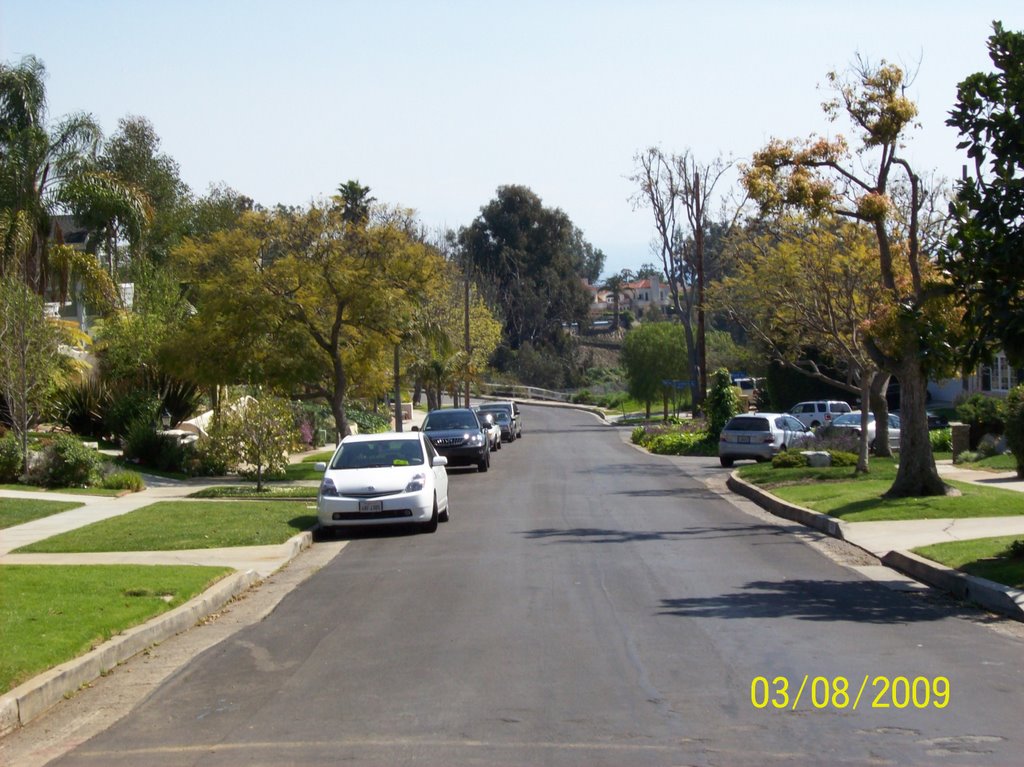 Earlham Street, Pacific Palisades by Alan Fogelquist