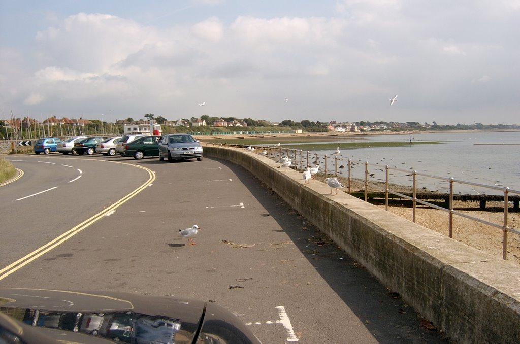 Meon Shore by glenister8770