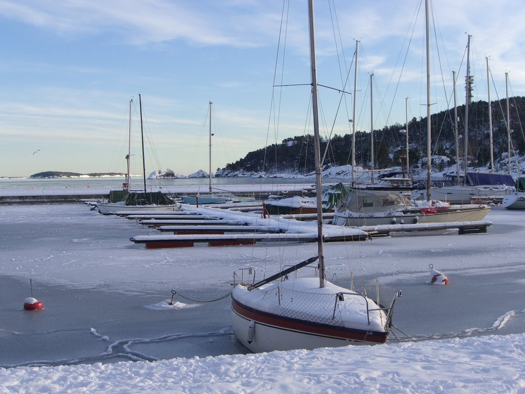 Vereister Yachthafen im Winter by Obertroll