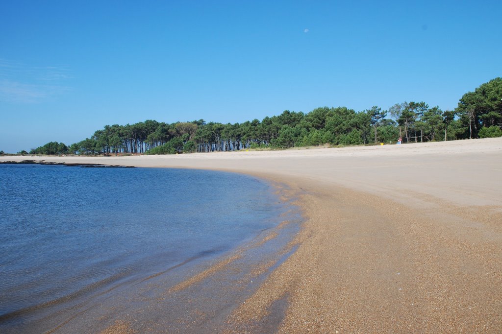 Beach by franzrongen