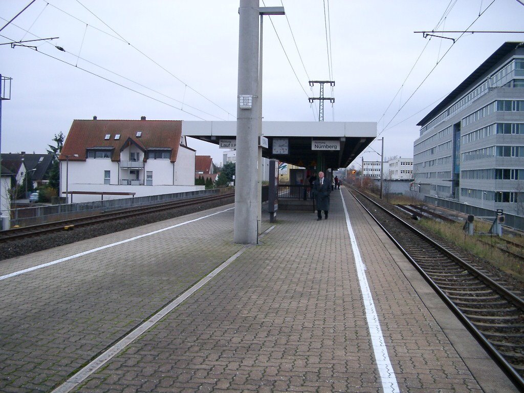 S-Bahnstation Ostring (Br. Nür. Hbf.) by zister