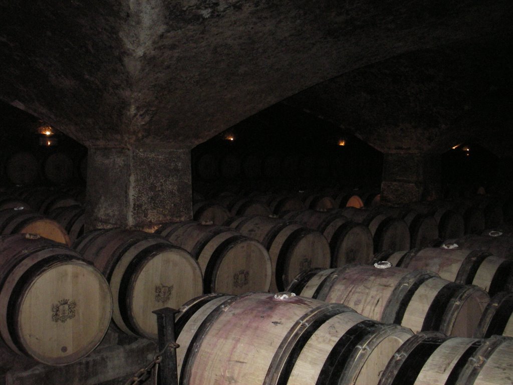 La cave Patriarche II, Beaune by Champagne & Wijn