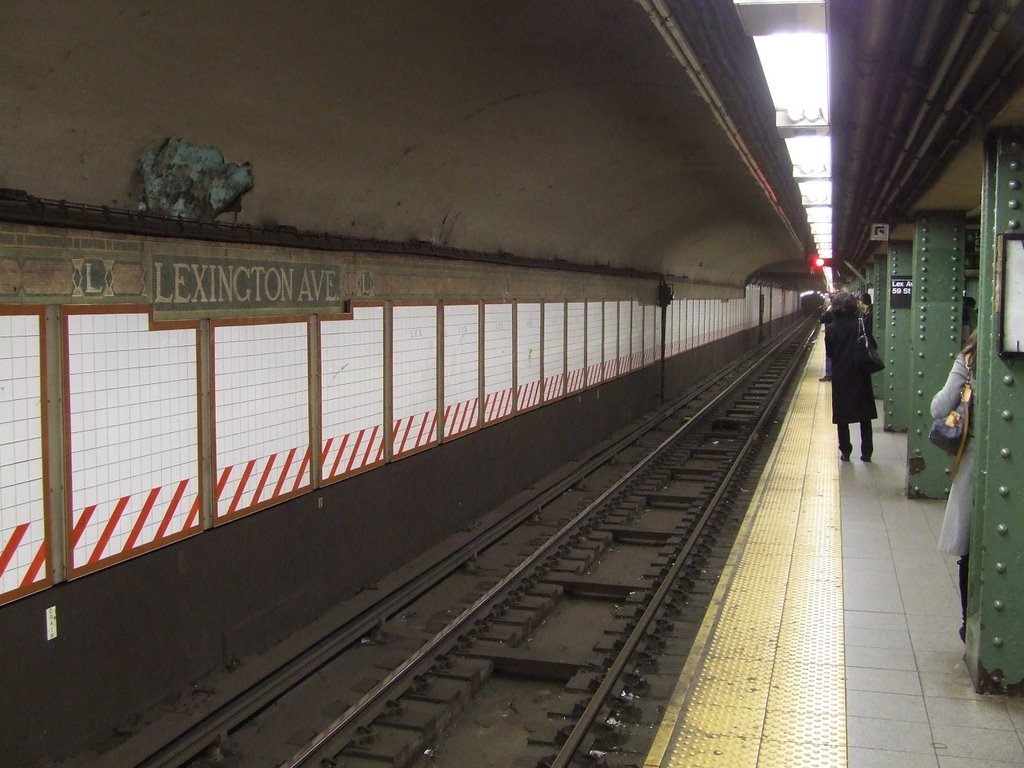 Lexington Ave - 59th St Station - 2009/14/02 by Przemek Kanadys