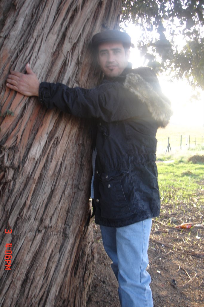 Mi arbol y yo by el paya