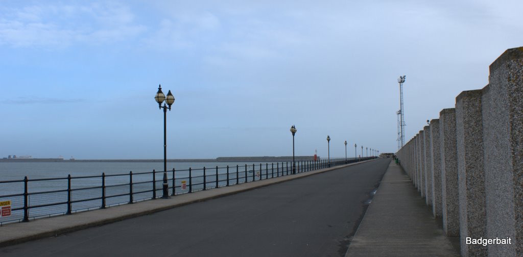 Prince of Wales Pier by Badgerbait