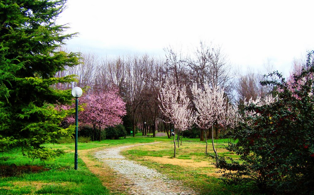 Botanik park -Bursa.09 march 09 by HALUK COMERTEL